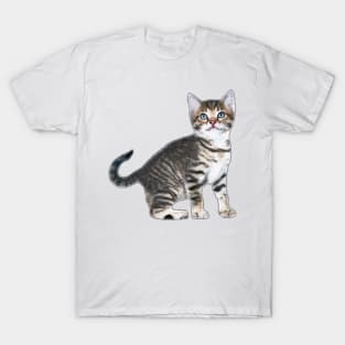 RDJ SPIDERMAN HOMECOMING CAT T-Shirt